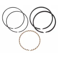 SPEEDAIRE Ring Set, Hp 10/15/30 Pumps, Cast Iron: Z797, PL15A/PL30A/RV15A/RV30A, Speedaire