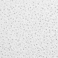 ARMSTRONG Ceiling Tile: 764C, Georgian, 24 in x 24 in, Square Lay-In, 15/16 in Grid Size, 16 PK