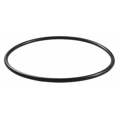 Dayton Gasket for Booster Pump, NBR, Part PP21101246001G - Seal Kits & Gaskets for Booster Pumps