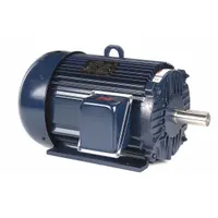 MARATHON MOTORS General Purpose Motor: Rigid Base Mount, Totally Enclosed Fan Cooled, 20 hp (MPN 256TTFL16033)