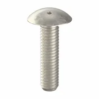 Tamper Resistant Screw: #10-32 Thread Size, 3/4 in Lg, Stainless Steel, Plain, Truss, Spanner, 10 PK (MPN 6001500)