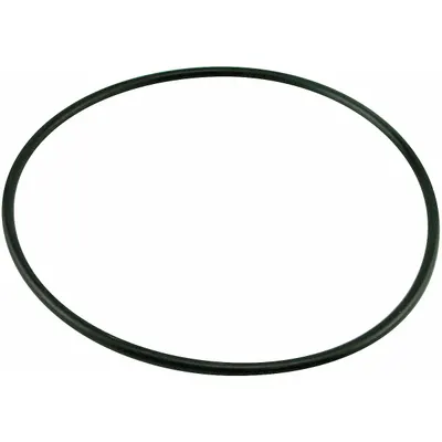 BALDWIN FILTERS O-Ring, Buna-N, 9/32 in Lg, 7 23/32 in Inside Dia, G206 - Transmission Filter Accessories