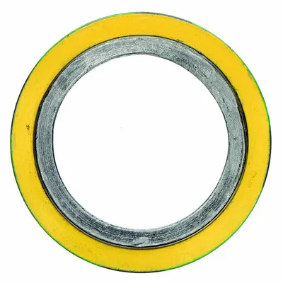 FLEXITALLIC Spiral Wound Flange Gasket: Graphite Filler, 316L Stainless Steel Winding - Graphite Spiral-Wound Gaskets