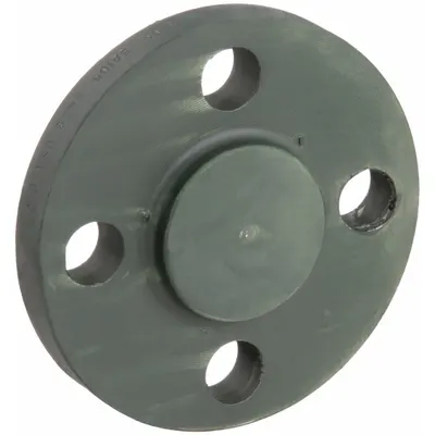 OEM Blind Iron Pipe Flange, Carbon Steel, Raised Flange, Class 300, 1 in - Blind Iron Pipe Flanges