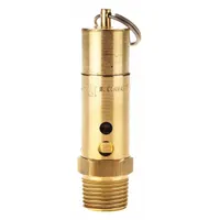 Brass hard seat pneumatic safety valve with 1/2 in (M)NPT inlet and 1/4 in (F)NPT outlet. Provides overpressure protection in compressed air systems. Suitable for use in pneumatic piping networks and process equipment