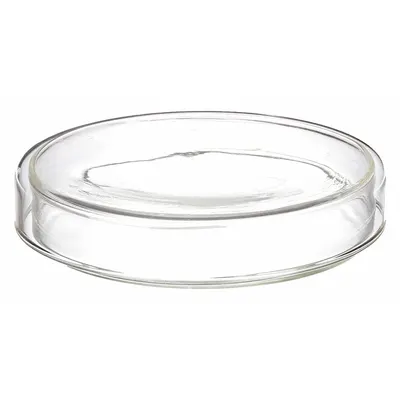 OEM Petri Dish: 75 mm Dia, 15 mm Overall Ht, No Surface Treatment, Lid, Glass - Petri Dishes