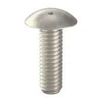Tamper Resistant Screw: 5/16"-18 Thread Size, 1 in Lg, Stainless Steel, Plain, Truss, Spanner, 10 PK (MPN 6002060)