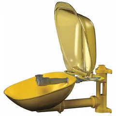 Wall-mount eyewash station with eyes coverage, covered plastic bowl, and galvanized steel pipe. Activated by push plate for emergency eye irrigation in industrial settings.