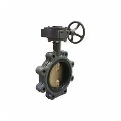 This 6-inch cast iron butterfly valve features a concentric, lug-style design with an aluminum bronze alloy disc and EPDM seat. Rated for 200 psi CWP, it is suited for on-off or throttling service in water, HVAC, and process piping systems. The gear-operated handwheel enables precise flow control, and the lug body allows downstream isolation.