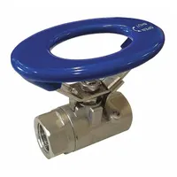 APPROVED VENDOR Manual Two-Way Ball Valve: 1 1/4 in, 316 Stainless Steel, Straight Valve Body, PTFE (MPN G-SSO-125V)