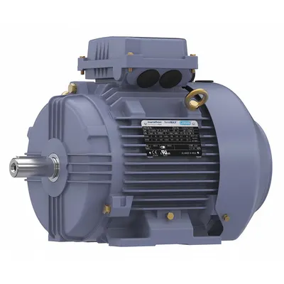 MARATHON MOTORS Rigid Base 3-Phase IEC Metric General Purpose AC Motor - Rigid Base 3-Phase IEC Metric General Purpose AC Motors