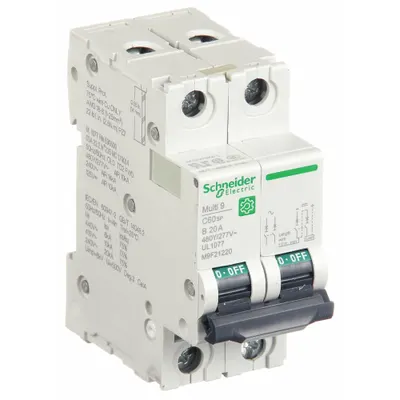 SCHNEIDER Supplementary Protector: 20 A Amps, 14kA at 240V AC, Screw Clamp, C60SP - B-Curve, 2-Pole UL1077 DIN Rail-Mount Supplementary Protectors