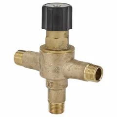 Thermostatic mixing valve for point-of-use applications, blending hot and cold water to a consistent temperature. Features 1/2 in inlet and outlet connections. Commonly used in showers, sinks, and process water systems to prevent scalding.