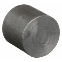 Steel pipe cap with 1/4 in NPT threads, rated Class 3000. Maximum operating pressure 2000 psi at 150°F. Used to seal the end of threaded pipe in high-pressure systems for water, oil, or gas applications