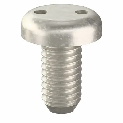 TAMPER-PRUF-SCREW Tamper Resistant Screw: #10-32 Thread Size, 3/8 in Lg, Stainless Steel - Pan Head Tamper-Resistant Machine Screws