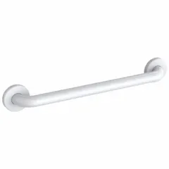 Straight grab bar with anti-microbial painted stainless steel construction. 12-inch length and 1-1/4-inch diameter. Suitable for use in restrooms, accessible areas, and industrial facilities where hygiene and support are required.
