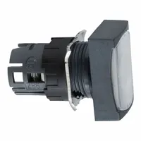 SCHNEIDER Flush Push Button: 16 mm Mounting Size, Non-Metallic, Maintained (MPN ZB6DF1)