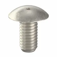 Tamper Resistant Screw: 3/8"-16 Thread Size, 3/4 in Lg, Stainless Steel, Plain, Truss, 10 PK (MPN 6002560)