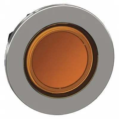 SCHNEIDER Flush Push Button: 30 mm Mounting Size, Metallic - Illuminated Flush-Mount Push-Button Operators
