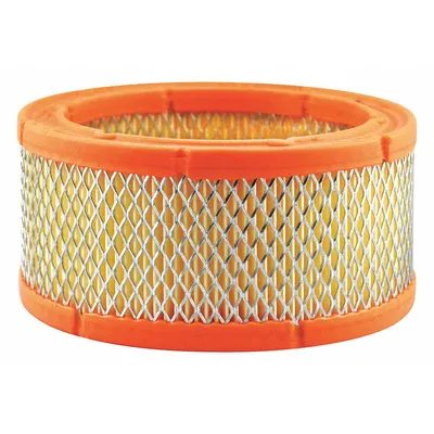 BALDWIN FILTERS PA30011 Round/Oval Engine Air Filter - Round/Oval Engine Air Filters