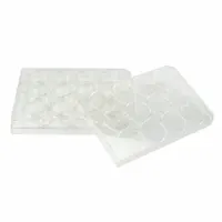 CAPLUGS 12-Well Microplates with Lids: Sterile, 12 Wells, 6.76 mL, 85 mm Dia, Square, Polystyrene (MPN 222804601FE1)
