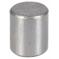 DAYTON Roller: Mfr Part # GSS030, Compatible with 1VW51/1VW63, Manual Chain Hoists