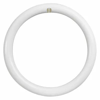 FEIT ELECTRIC FC12/840/LED T9 Circular LED Lamp, 12 in, 20W, 4100K, 4-Pin G10q - Circular Lamps