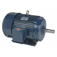 MARATHON MOTORS General Purpose Motor: Rigid Base Mount, Totally Enclosed Fan Cooled, 20 hp (MPN 286TTFCD6076)
