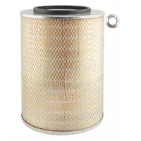 BALDWIN FILTERS Automotive Air Filter: Round-Oval, Engine, Round, Axial Seal, 15/16 in Inside Dia (MPN PA1895)