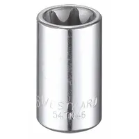 WESTWARD Socket: 3/8 in Drive Size, E16 Socket Size, External Torx, Std, Chrome, 1 1/4 in Overall Lg (MPN 54TN46)