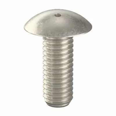 TAMPER-PRUF SCREW Tamper Resistant Screw: 3/8"-16 Thread Size, 1 in Lg, Stainless Steel, Plain - Truss Head Tamper-Resistant Machine Screws