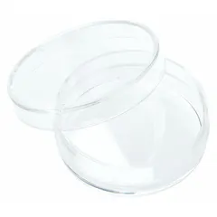 This 35 mm diameter, 10 mm height sterile polystyrene petri dish features a tissue culture treated surface for enhanced cell adhesion. Suitable for laboratory cell culture applications requiring adherent cell growth. Clear construction allows visual inspection of cultures.