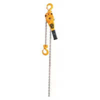 Steel-bodied lever chain hoist for vertical lifting and pulling of loads up to 1,600 lb. Hook-mounted design with 5 ft lift length, suitable for industrial maintenance, construction, and rigging applications where precise load positioning is required. No overload protection included