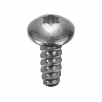 Thread Forming Screw: #2 Size, 1/4 in Lg, Stainless Steel, Plain, Torx Plus®, Pan, 50 PK (MPN 450300)