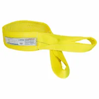 STREN-FLEX Web Sling: Type 4, Polyester, 2 Plies, 6 ft Sling Lg, 11,500 lb Vertical Hitch Capacity (MPN EET-2-904PHV)