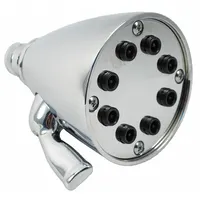 TRIDENT Fixed Showerhead: Polished Chrome Finish, 3 1/2 in Fixed Showerhead Wd