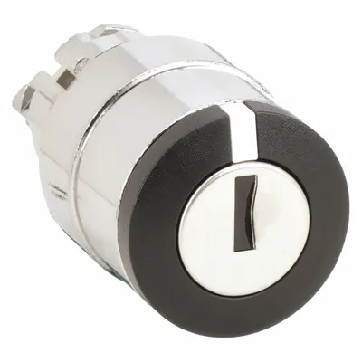 SCHNEIDER Keyed Selector Switch: 2 Position, 22 mm Panel Mounting Size - Panel-Mounted Key Switches without Contacts