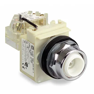 SCHNEIDER Flush Push Button: 30 mm Mounting Size, Metallic - Illuminated Flush-Mount Push-Button Operators