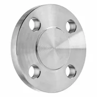 Metal Pipe Flange: Flat, 16 in Flange Outside Dia, Class 125, 12 Bolt Holes (MPN BULK-PF-835)