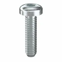 Machine Screw: #10-32 Thread Size, 3/4 in Lg, Steel, Zinc-Plated, Pan, Torx®/Star, 100 PK (MPN 480940)