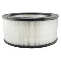 BALDWIN FILTERS Automotive Air Filter: Round-Oval, Engine, Round, Axial Seal, 5 in Overall Ht, Ford (MPN PA2092)