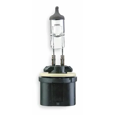 OEM Halogen Bulb: Halogen - PG13 Axial Base Lamps