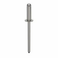 Blind Rivet,1 9/11" L,0.155" dia,PK500: Inch, 1 13/16 in Overall Lg, 17/32 in Body Lg, Dome, 500 PK (MPN SSD56SSBS201)