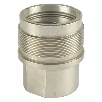 Dayton Foot Valve, PP3831G - Foot Valves