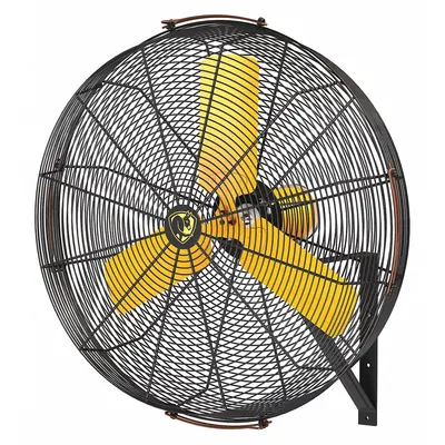 BIG ASS FANS Mounted Fan: 30 in Blade Dia, 120V AC, 1/3 hp Motor HP, Wall Mount - Standard Industrial Wall-Mount Fans