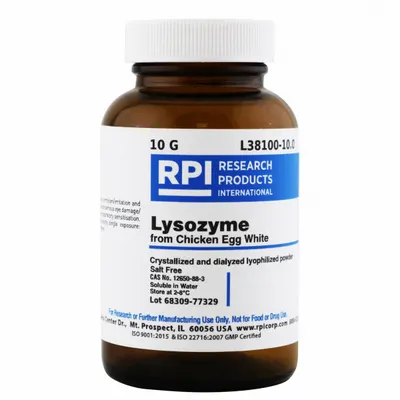 RPI Lysozyme from Chicken Egg White, 10 g, Powder, Glass - Protease Inhibitors