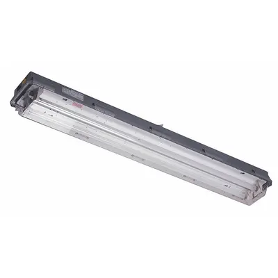 HUBBELL KILLARK Hazardous Location Lighting Fixtures: 5,900 lm, T6 Temp Code, 65 W - Fluorescent Linear Hazardous Location Light Fixtures