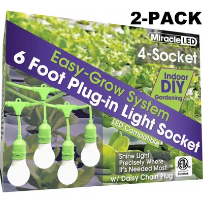 MIRACLE LED Ready Corded Lighti,Four Socket,PK2: 4 Lightheads, Medium Screw (E26), 6 ft Lg - Multiple Light String Fixtures