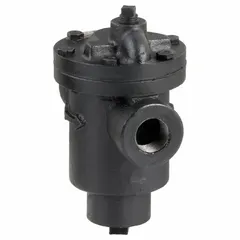 Cast iron inverted-bucket steam trap for automatic condensate drainage from steam lines. Rated for 685 lb/hr capacity at 125 psi maximum pressure and 450°F maximum temperature. 3/4-inch FNPT connections for in-line horizontal installation. Strainer not included.