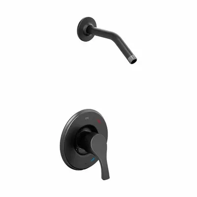 CFG Shower Faucet: T58912, 1.75 gpm Fixed Showerhead Flow Rate, Metal, Matte Finish - Shower Faucets with Fixed Shower Arms